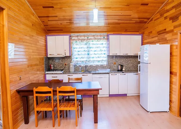 Ikiz Villas